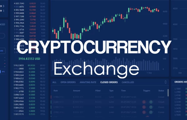 Here's What You Should Keep In Mind Before Choosing A Cryptocurrency Exchange Portal